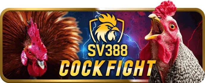 Kèo cược Meron tại Win33 Login